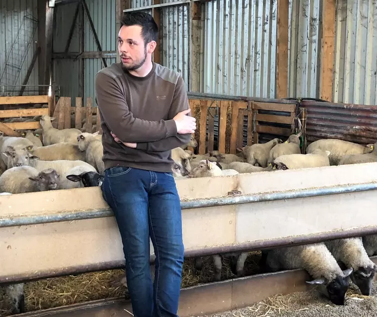 Valentin Lochon, 26 ans, a réfléchi son système pour optimiser la ressource herbagère et garder la complémentarité entre grandes cultures et atelier ovin.
