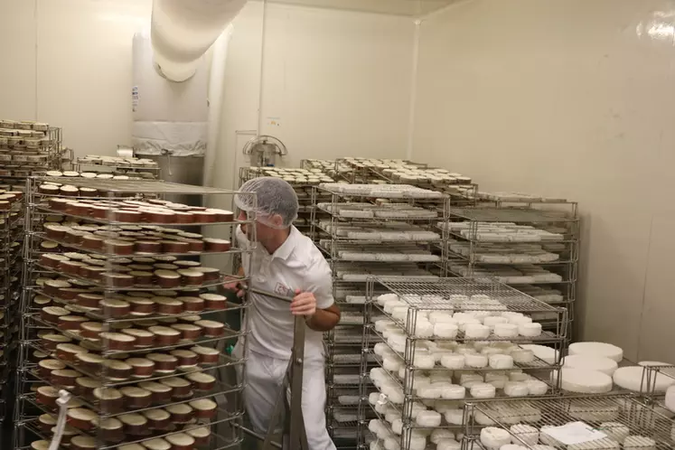 La gamme de produits de la fromagerie de Hyelzas compte une vingtaine de références, auxquels viennent s'ajouter cinq formats en bio.