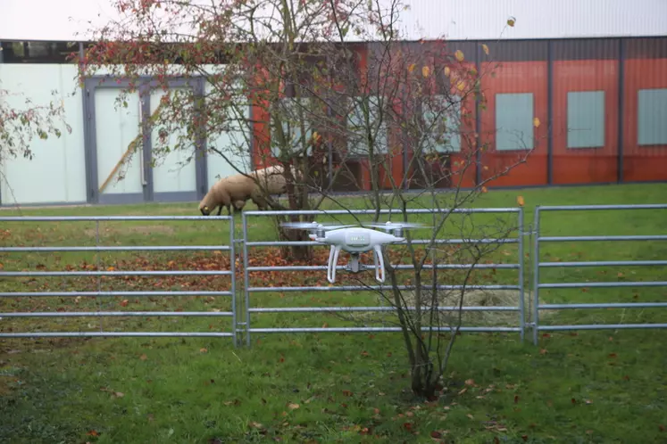 Lors de cette journée d'échanges, les participants pourront découvrir l'utilisation du drone en élevage ovin.