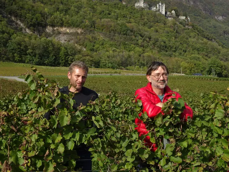 Depuis un an, Stéphane Vernaz (à gauche) fait pâturer ses brebis sur les terres de Raphaël Saint-Germain (à droite).