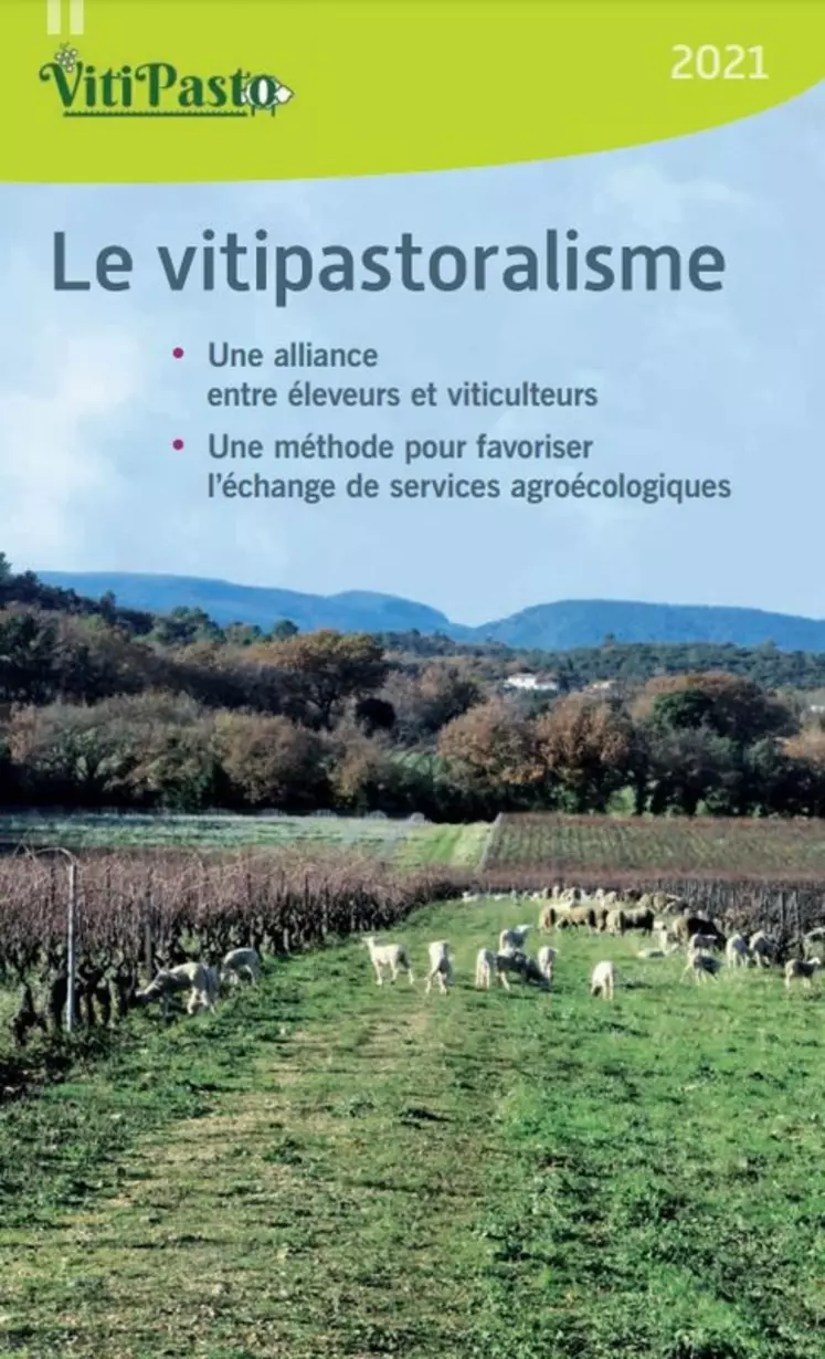 Le Cerpam a publié une plaquette explicative autour du vitipastoralisme. Les bonnes pratiques et les points de vigilance y sont détaillés.