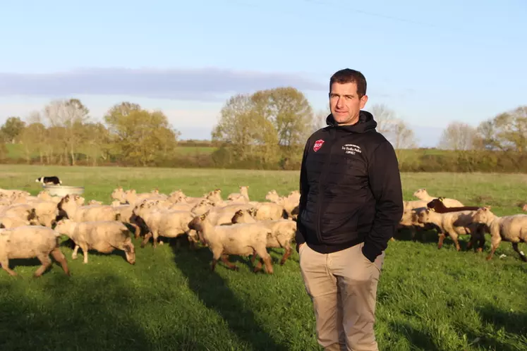 Nicolas Paillier a mené une réflexion globale pour pouvoir produire des agneaux 100 % herbe toute l’année.