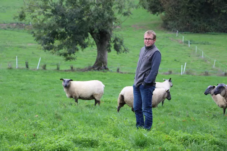Gaétan, qui n'a pas de formation spécifique à l'élevage ovin, s'appuie souvent sur les éleveurs de l'OS Bleu du Maine pour des questions techniques. © V. Bargain