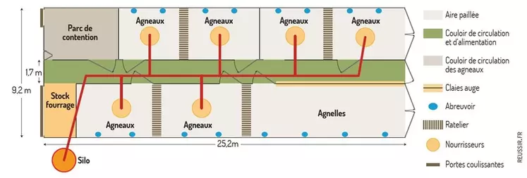 Un tunnel de 9,2 m de large pour 230 agneaux dont 40 rationnés en concentré.