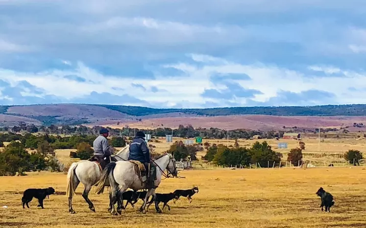 La culture des gauchos (cow-boys locaux) est toujours très prégnante en Patagonie.