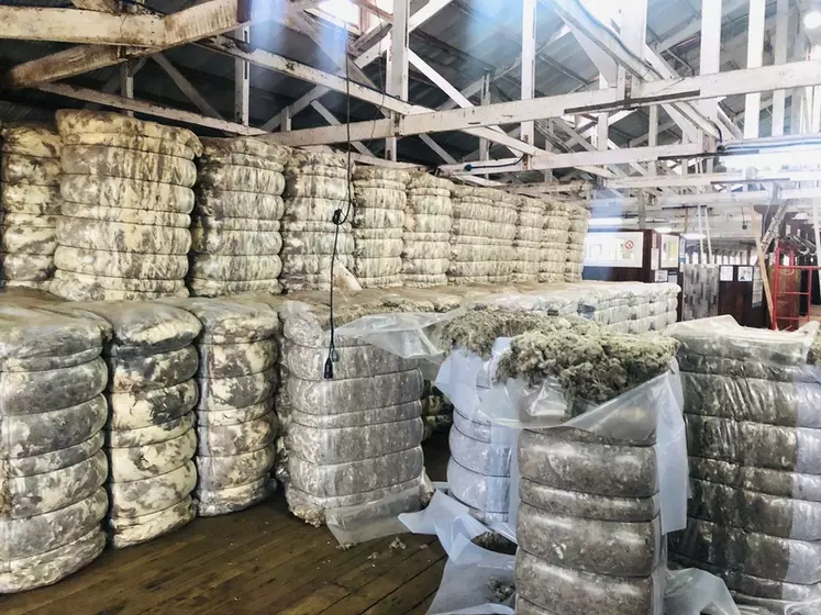 Entrepôt de laine en Argentine