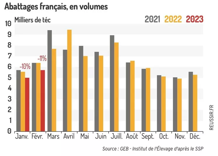 La décapitalisation du cheptel ovin français se poursuit début 2023