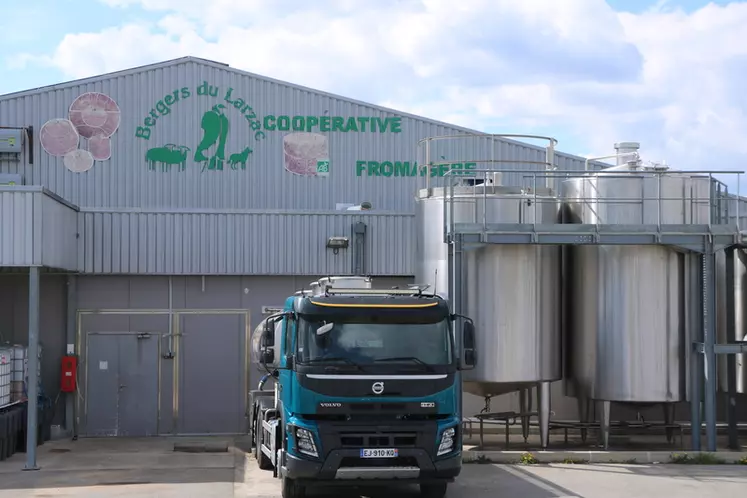 La coopérative des Bergers du Larzac est basée aux environs immédiats de Millau. Elle collecte le lait de 33 producteurs et transforme près de 4 millions de litres par an.