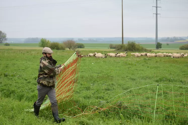 <p>Bastien se rend régulièrement dans les champs pour surveiller ses brebis et déplacer les filets.</p>