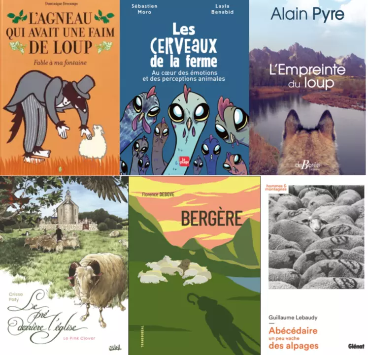 BD, roman, abécédaire ou livre pour enfant, des idée de cadeaux pour les éleveurs ovins.