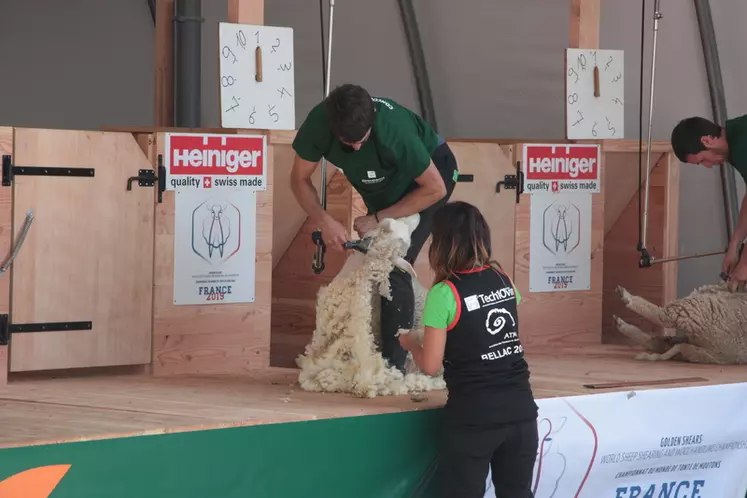 La laine est une préoccupation commune à tous les éleveurs ovins français qui s'alarment de ne plus avoir de débouché pour cette matière.
