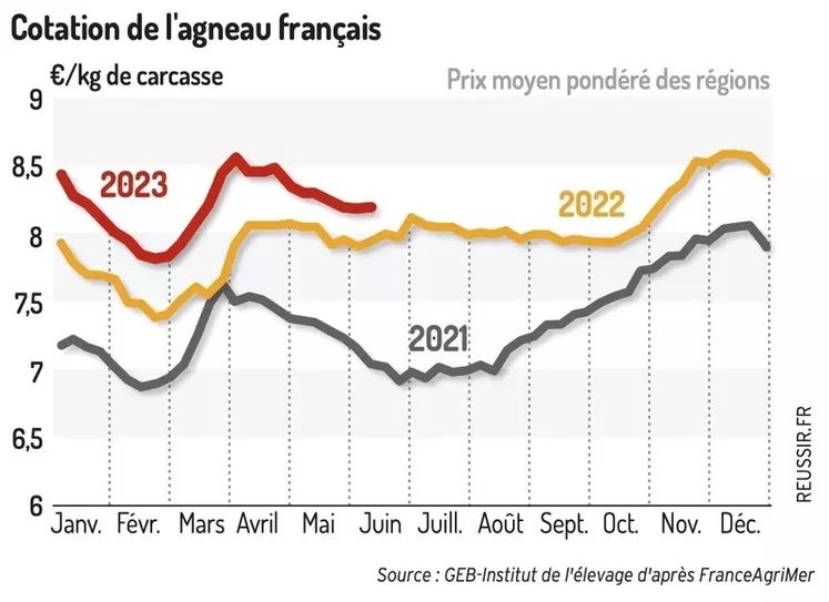 Le cours de l’agneau français ralentit sa baisse saisonnière