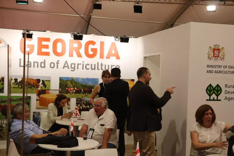 Géorgie et agriculture- au sommet de l'élevage.