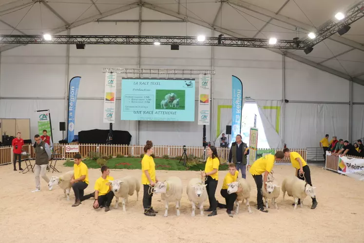 Les présentations des races ovines et les concours régionaux ou nationaux sont toujours très suivis durant les quatre jours de salon.