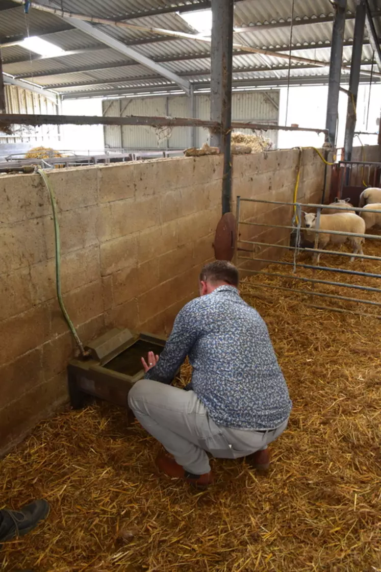 Frédéric vérifie le système d'abreuvement chez Cédric Vannier, un éleveur ovin. 