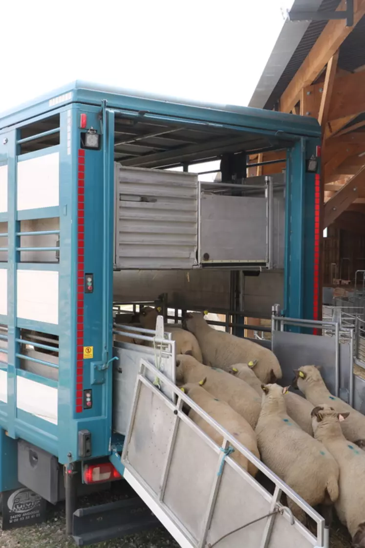 Le transport d'animaux vivants fait partie des préoccupations principales des Français en ce qui concerne le bien-être des animaux d'élevage.