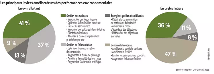 Des leviers pour réduire l’empreinte carbone en élevage ovin