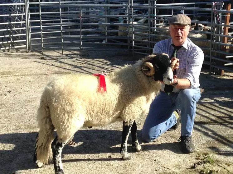 Layland Branfield élève des ovins Swaledale pour leur rusticité reconnue sur les parcours.