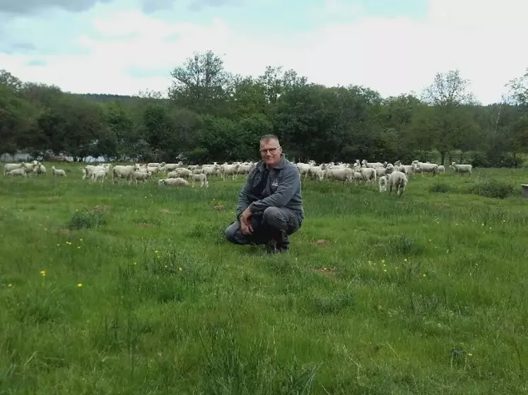 Fabien Paris, 52 ans, est éleveur de 300 brebis allaitantes dans l'Allier. Il a revu son système agronomique et zootechnique pour gagner en autonomie alimentaire et ...