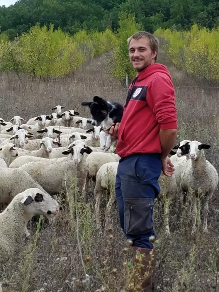 Darius Filipiak, 29 ans, s'est installé dans le Lot après un CS ovin et plusieurs expériences professionnelles en élevage ovin.
