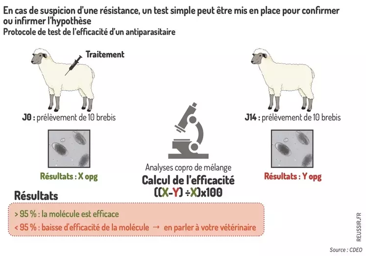 Comment lutter contre l’émergence de résistance aux antiparasitaires chez les ovins