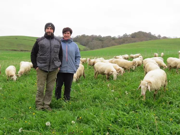 Beñat et Véronique Biscay, éleveurs dans les Pyrénées-Atlantiques, ont fait face à de la multirésistance parasitaire dans leur élevage.