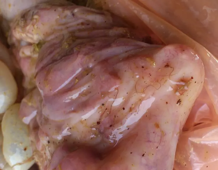 À l'autopsie, on retrouve Haemonchus contortus dans le système digestif de la brebis.