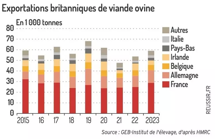 Les exports britanniques de viande ovine progressent