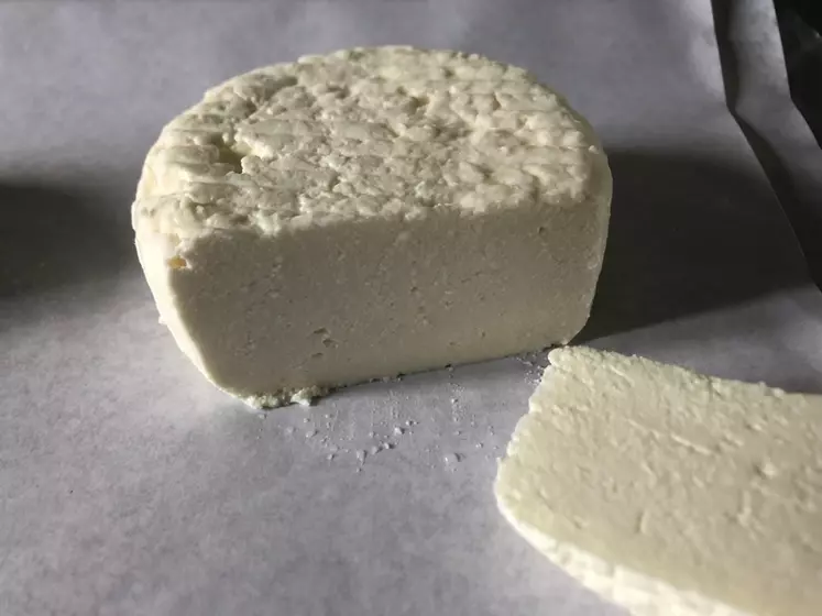 Après démoulage et égouttage, les fromages à base de caillé de brebis broyé avant moulage présentent une structure homogène satisfaisante mais une texture moins ...