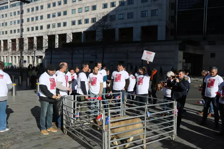 Éleveurs ovins manifestants devant le ministère de l'Économie, à Paris, en France.