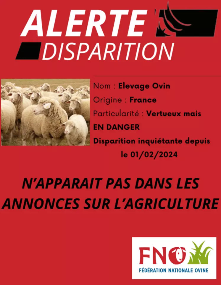 Les manifestants ont arboré des tee-shirts faisant part de la disparition inéluctable de l'élevage ovin français si rien n'est fait au niveau des pouvoirs publics.