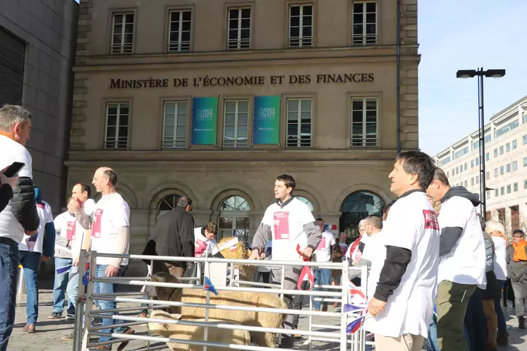 Eleveurs de moutons manifestant devant le ministère de l'Economie français, à Paris.