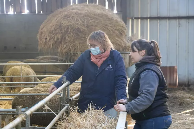 Certaines régions avec une faible concentration d'élevages ovins peinent à fournir un appui technique spécialisé et un accompagnement pour les jeunes installés.