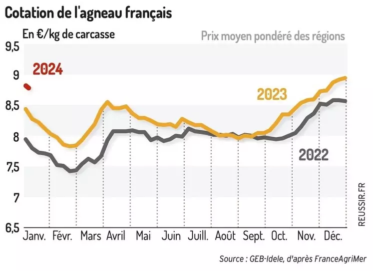La cotation des agneaux français démarre l’année bien au-dessus du niveau des années précédentes