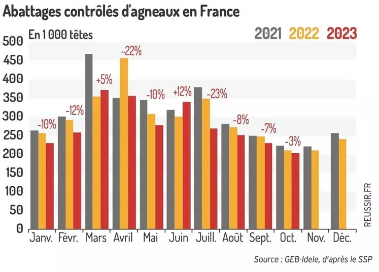 Ralentissement des abattages d’ovins, notamment des réformes