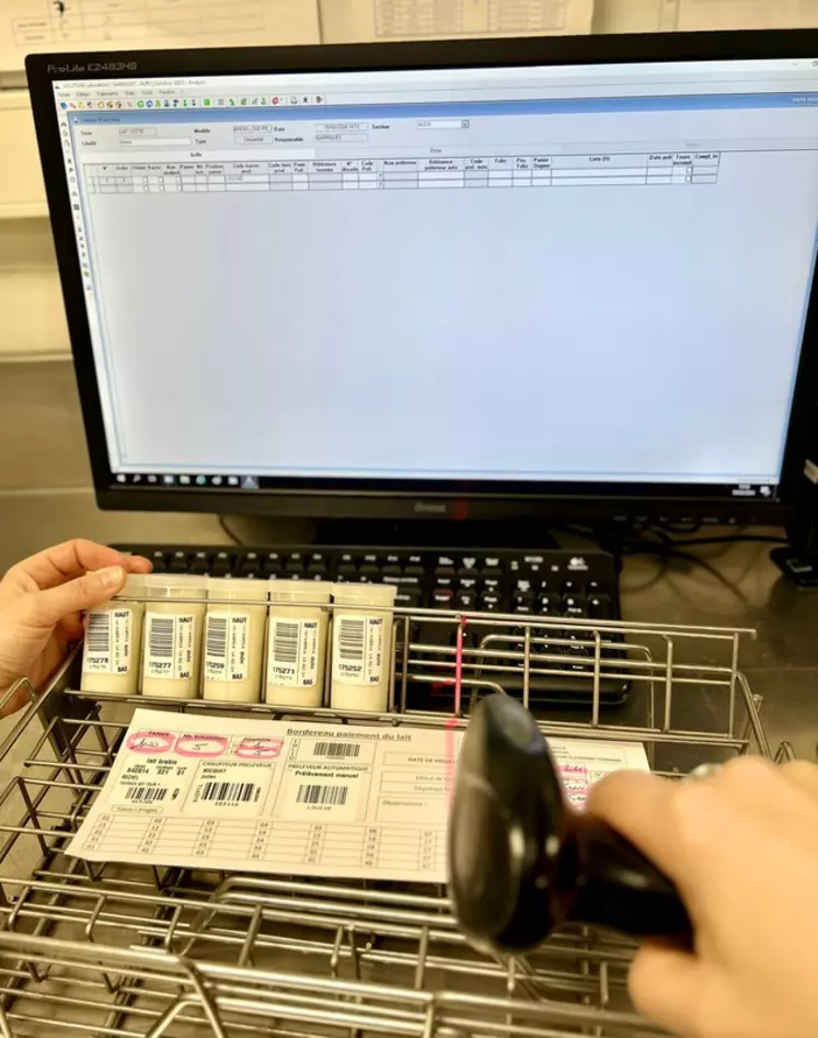 Enregistrement des échantillons de lait grâce aux codes-barres.