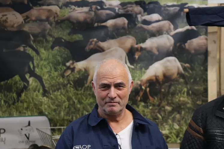 Sébastien Rossi, président de France Brebis laitière et éleveur en Corse s'inquiète du manque d'attractivité de cette production.
