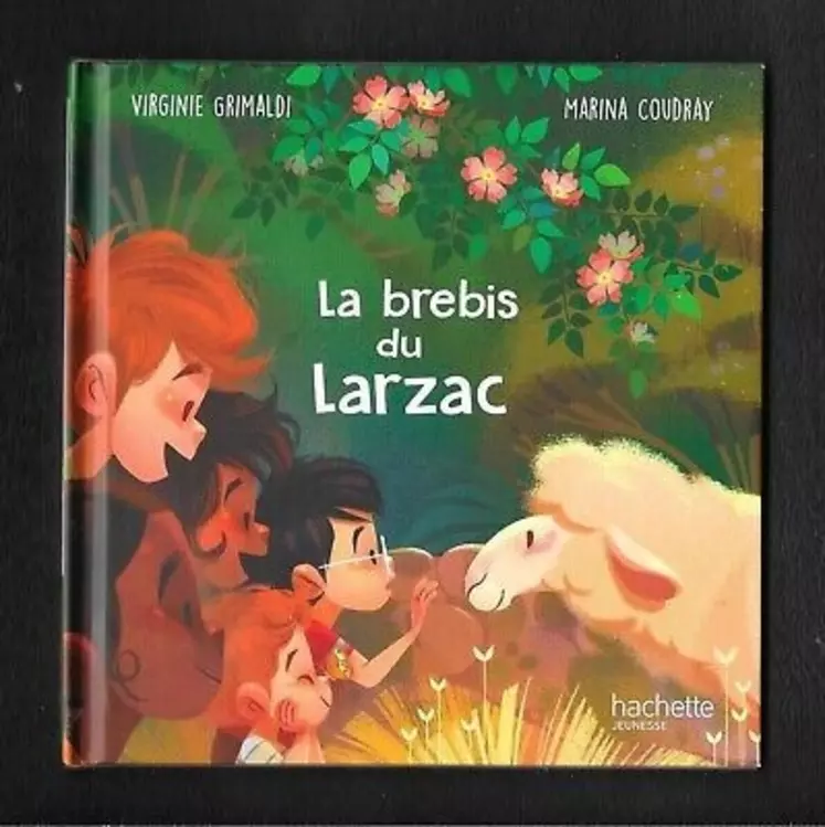 La brebis du Larzac