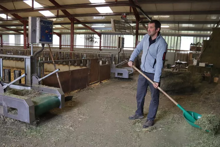 Roger Uhalde, éleveur de brebis laitières, donne à manger à ses animaux.