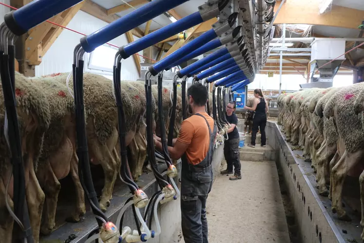 Les deux associés emploient Adélaïde, qui est apprentie. Ils souhaiteraient parvenir à pérenniser ce poste.