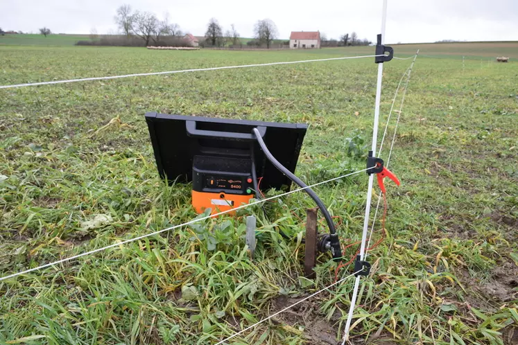 Pour les ovins, une clôture à 3 000 ou 4 500 volts suffit pour les dissuader de s'y frotter.