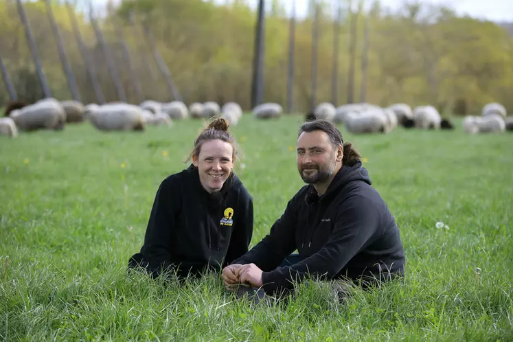 Anaïs Langlais et Antoine Floury devant les moutons Belle-Île dans la houblonnière 