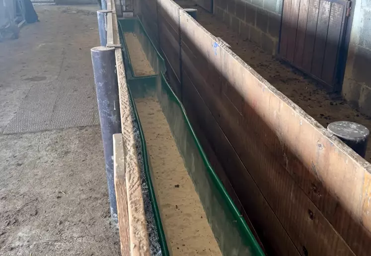 Couloir de bergerie avec pédiluve à sec