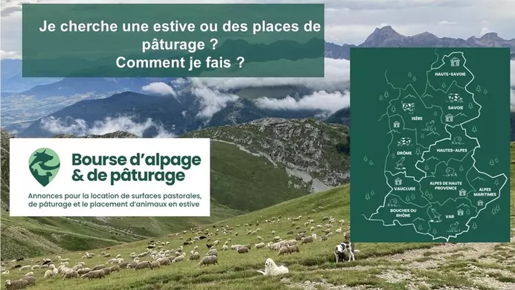 Visuel de la bourse alpage et pâturage