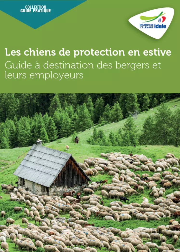 Guide « Les chiens de protection en estive » - Idele