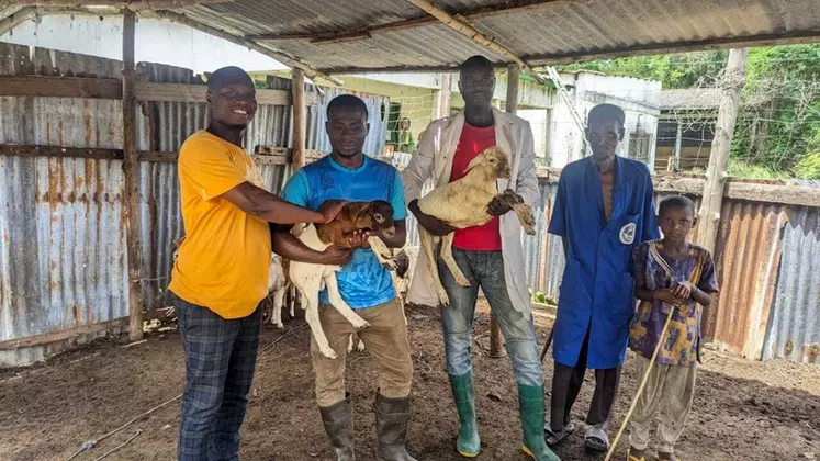 Kossivi Djagba et Abdul ont pour projet de remettre en marche un centre de formation à l'élevage au Togo.