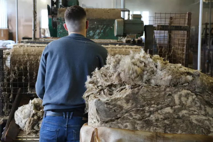Lavage de laine