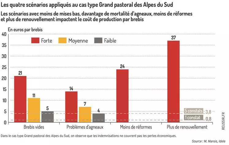 Graphique : Les quatre scénarios appliqués au cas type Grand pastoral  des Alpes du Sud ©M. Marois, Idele