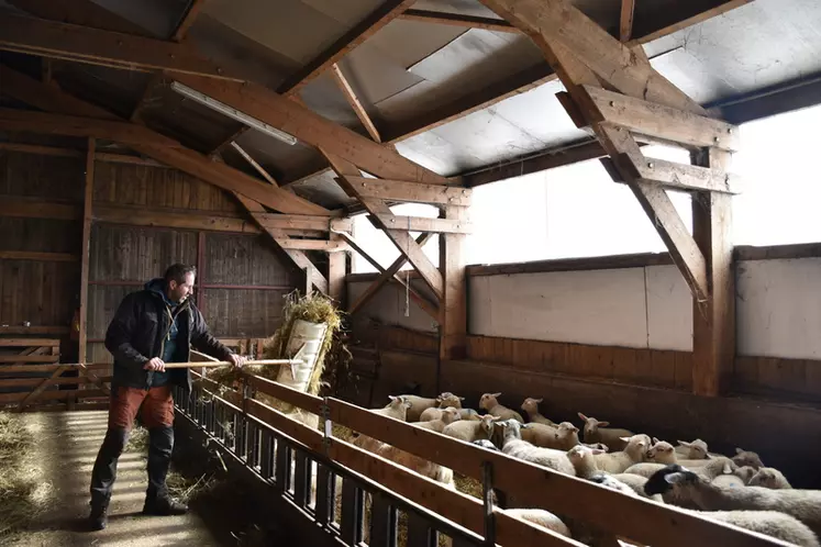 Richard Randanne, éleveur ovin dans le Puy-de-Dôme