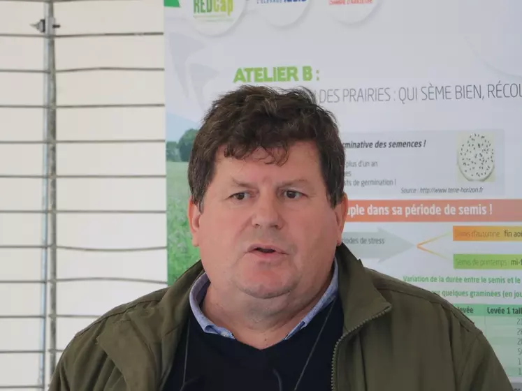 Patrice Pierre, Idele